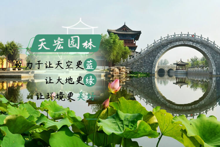北京天宏園林綠化養護草莓视频色下载-草莓视频污app-草莓视频下载黄-草莓视频免费下载观看