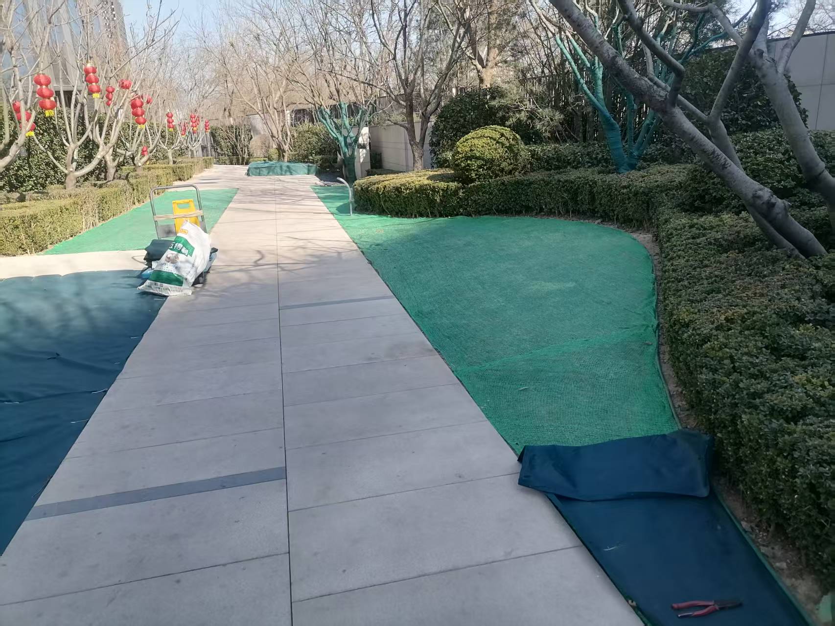 北京春季園林綠化養護之撤除防寒布