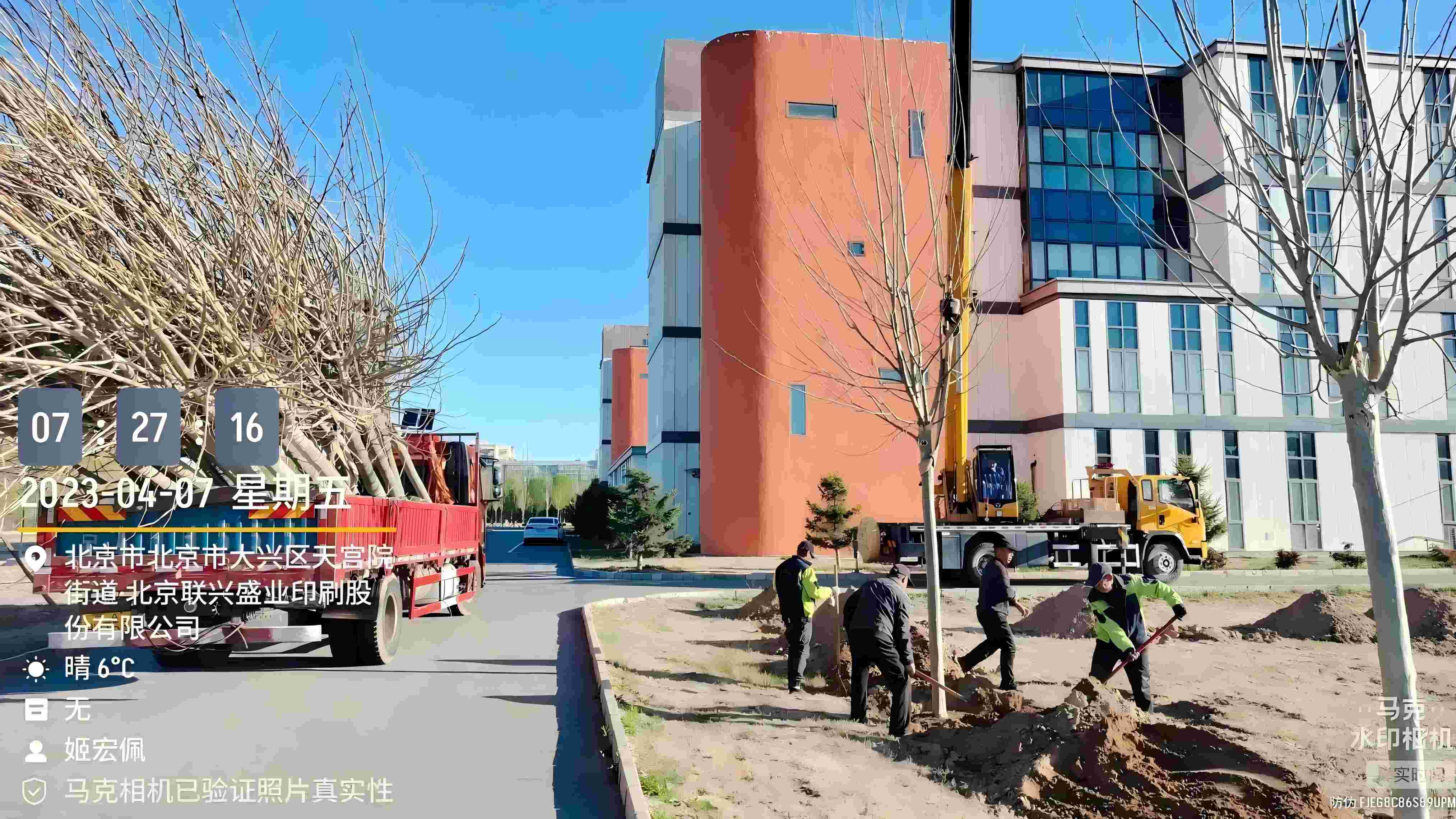 北京春季植樹最好的時間是什么時候？